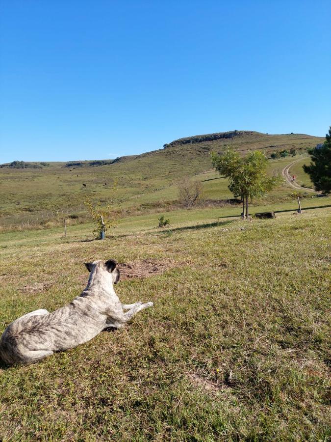 Cabanas Vista Verde Tacuarembó Eksteriør bilde